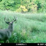 Nice buck in late September.