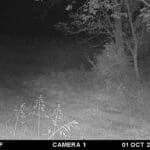 Big main frame 6 point buck!