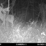 Monster Pike County, IL whitetail!