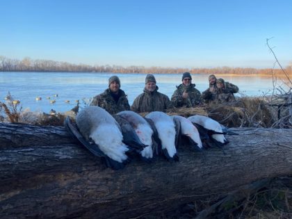 Goose hunting along the Mississippi river