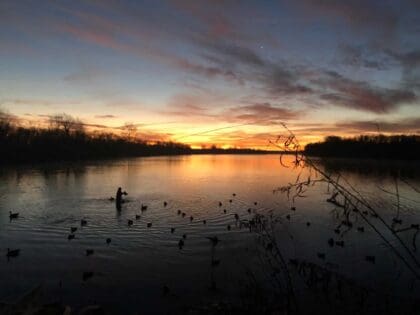 Best duck hunting outfitters in Illinois
