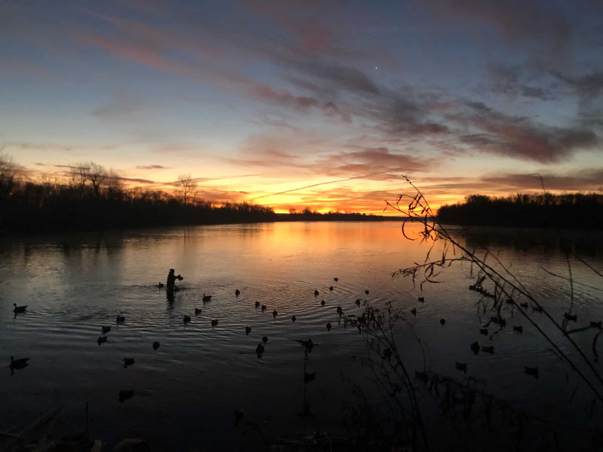 Prepare For This: Illinois Duck Hunting Season 2024-2025 Is DIFFERENT!