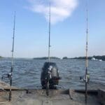 Guided Catfish Trips On The River