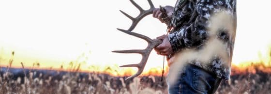 Buying Illinois Deer Hunting Land For Sale