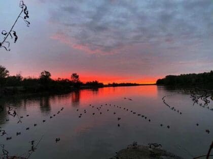 River duck hunt, view from the blind