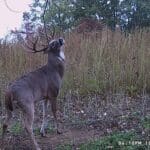 Welcome Back October! Early October Archery Hunting.