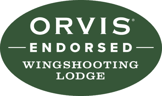 Pheasant and Quail hunting at our Orvis Endorsed Lodge