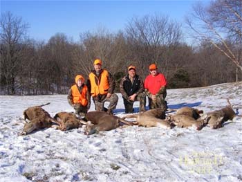 Guided firearm doe hunts