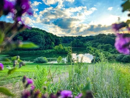 Picturesque countryside around Heartland Lodge