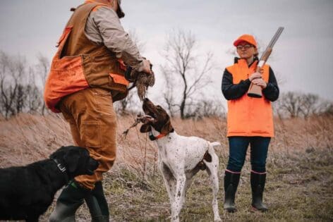 Quail Hunting in Pike County, IL over premium native habitat.