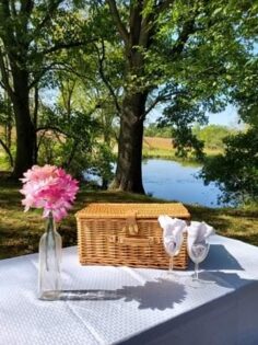 Enjoy a picnic by the pond during your romantic horse ride