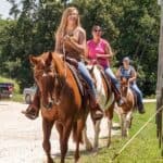 Enjoy a group horse ride on our trails