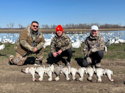 Enjoying a spring day hunting snow geese
