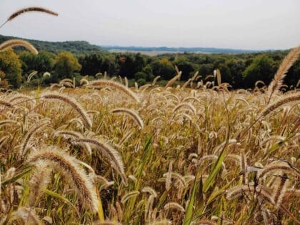Scenic views in West Central Illinois