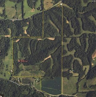 Topo Overview of Property for Sale