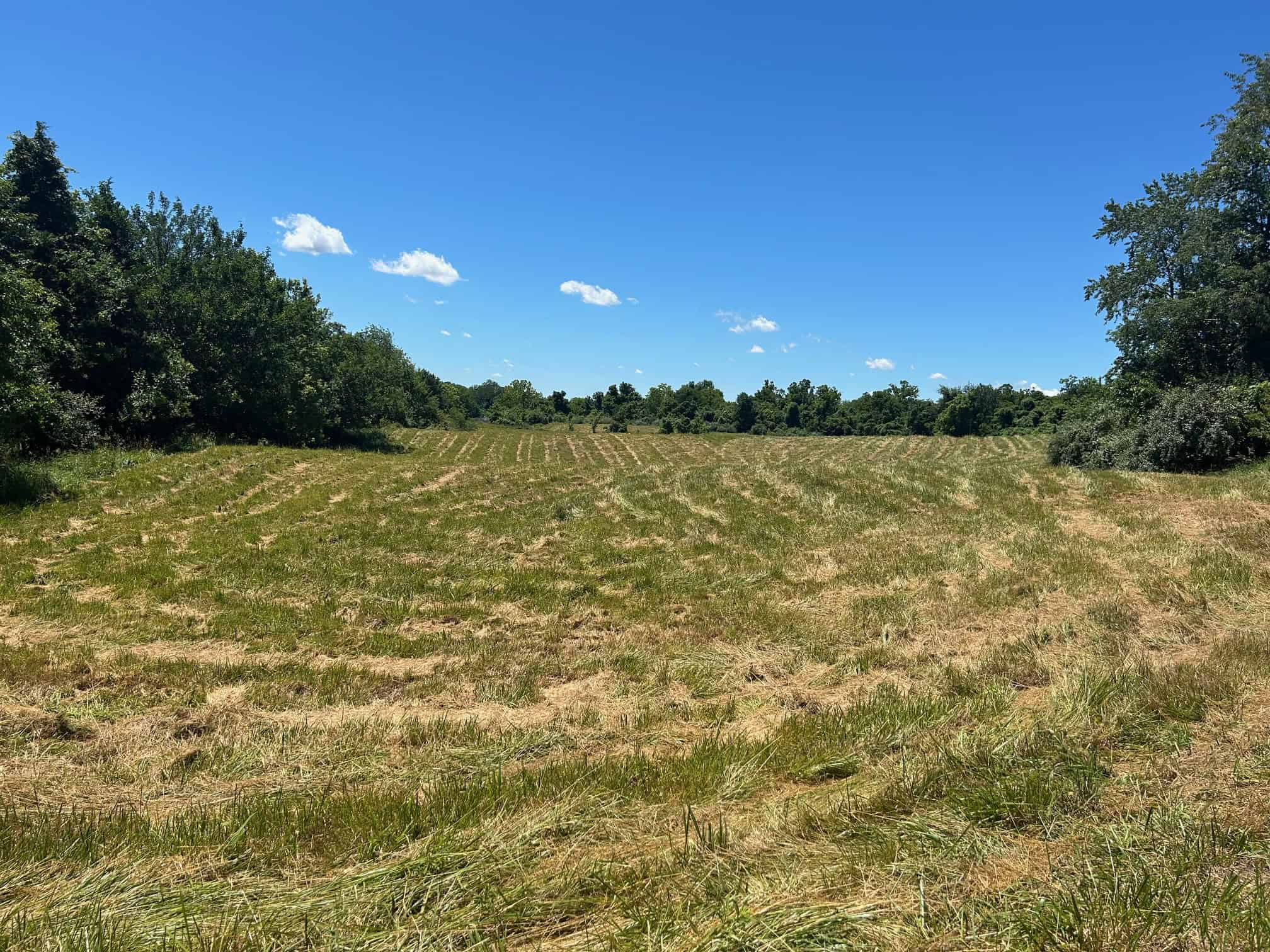 Pasture ground