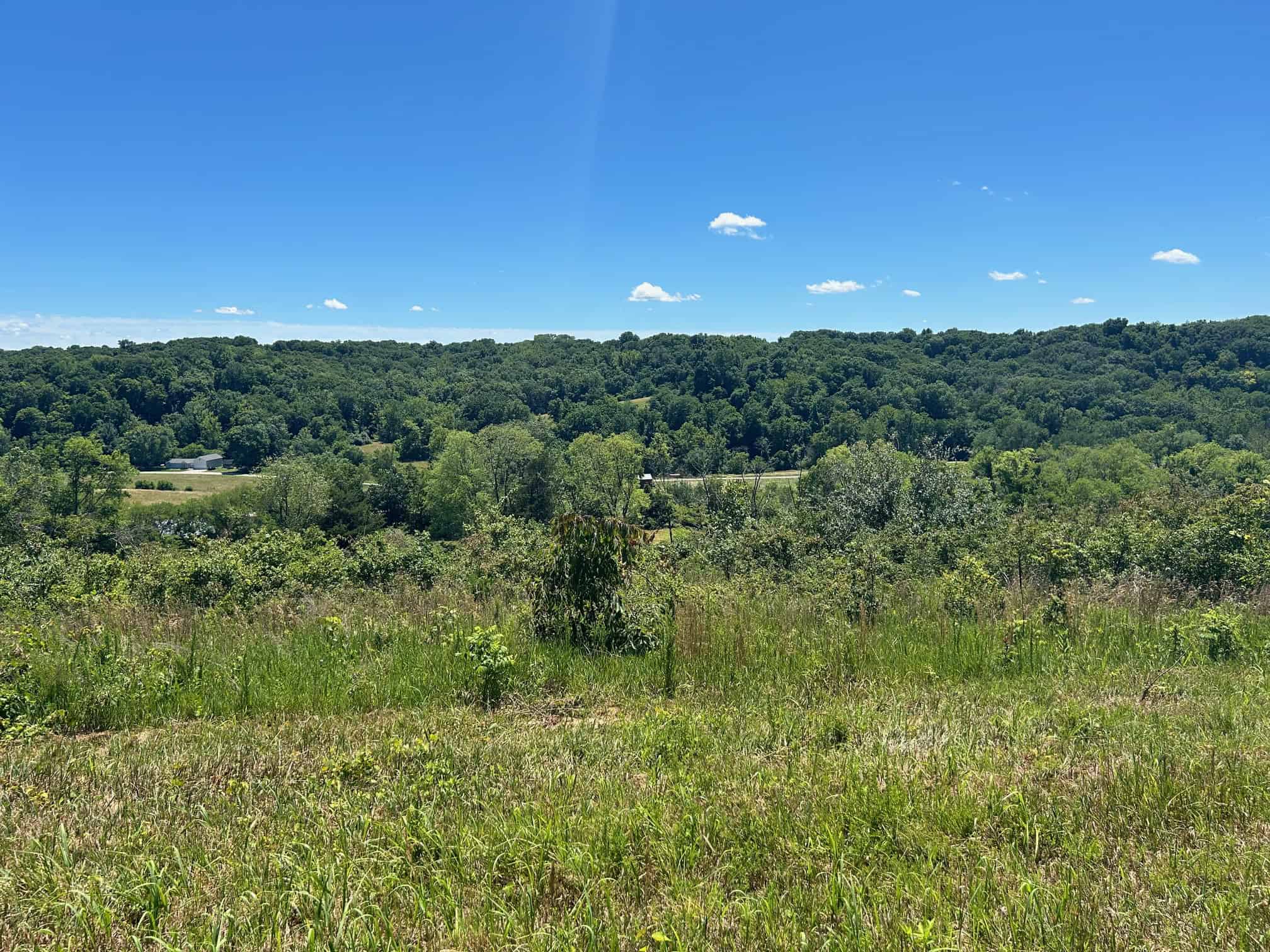 Scenic Overview