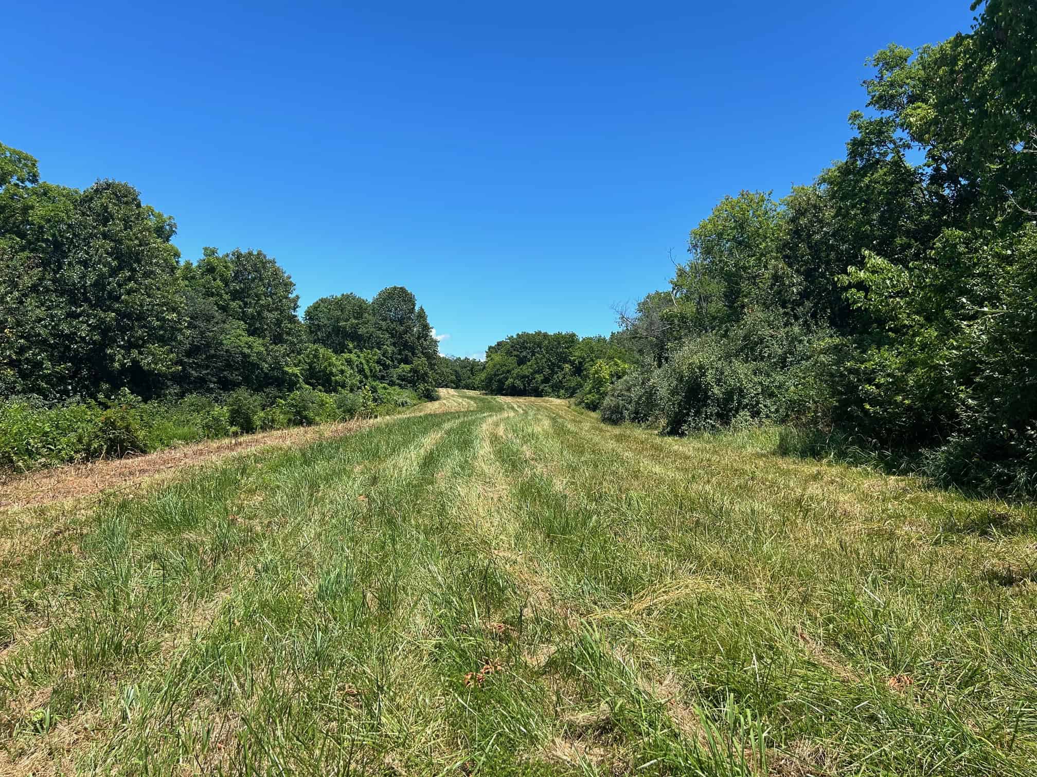 Great areas for food plots