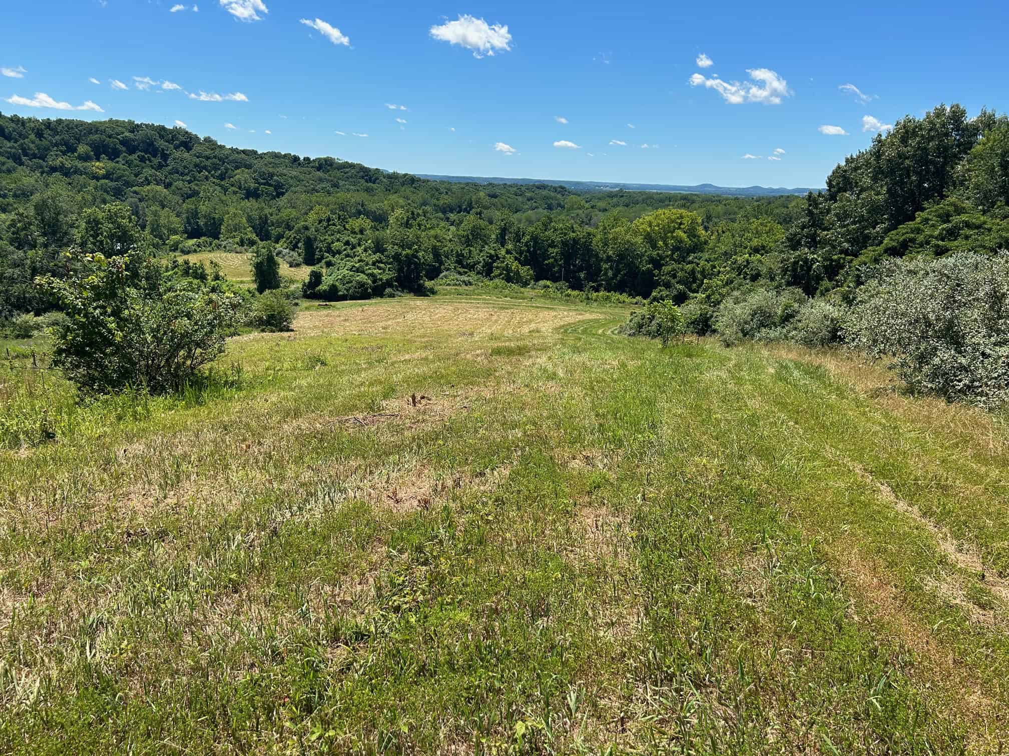 Several scenic areas on the property.