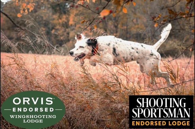 $100 Off Your First Upland Hunt!