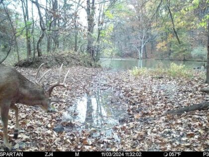 160" Main Frame Eight Point Video & Story
