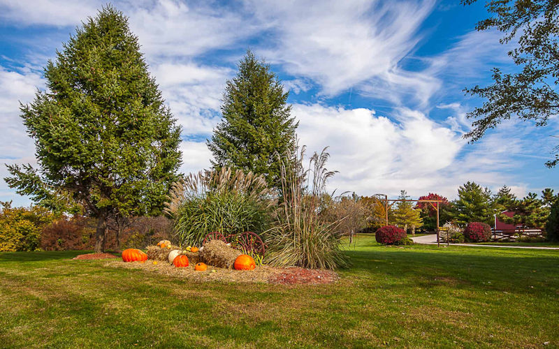 Fall at the Lodge