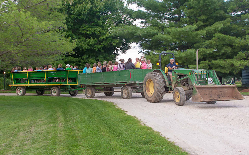 Hayrides Gallery