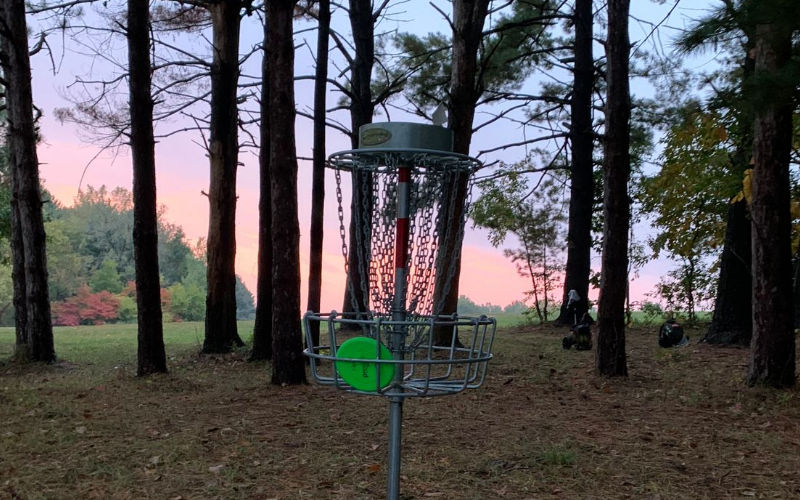 Disc Golf
