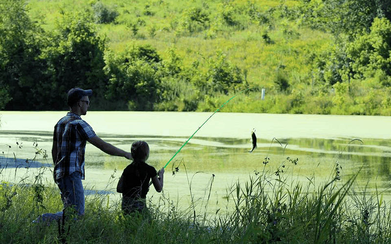 Vacation Activities at Heartland Lodge - Fishing