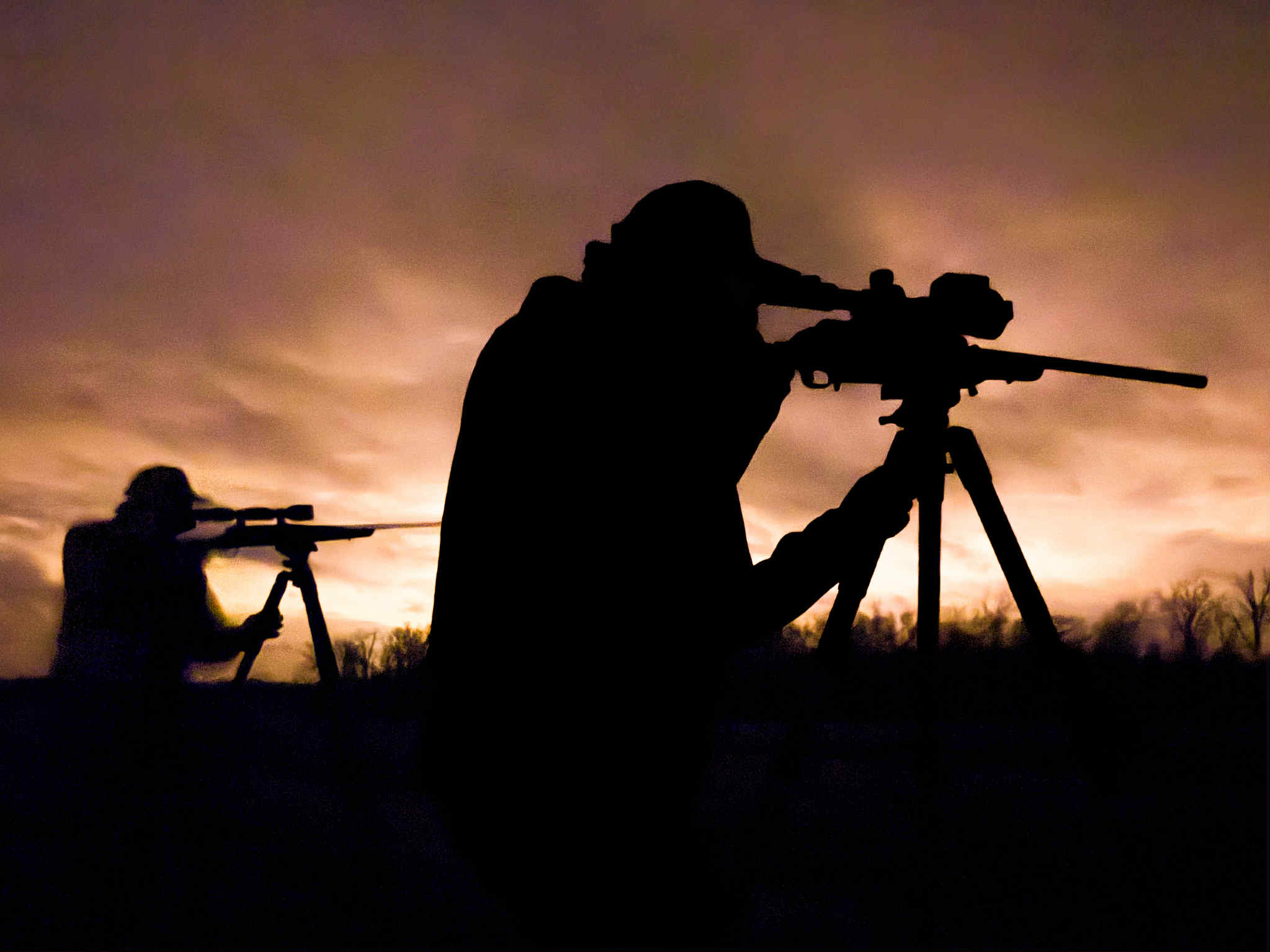 Guided Coyote Hunting Night time coyote hunters using thermals