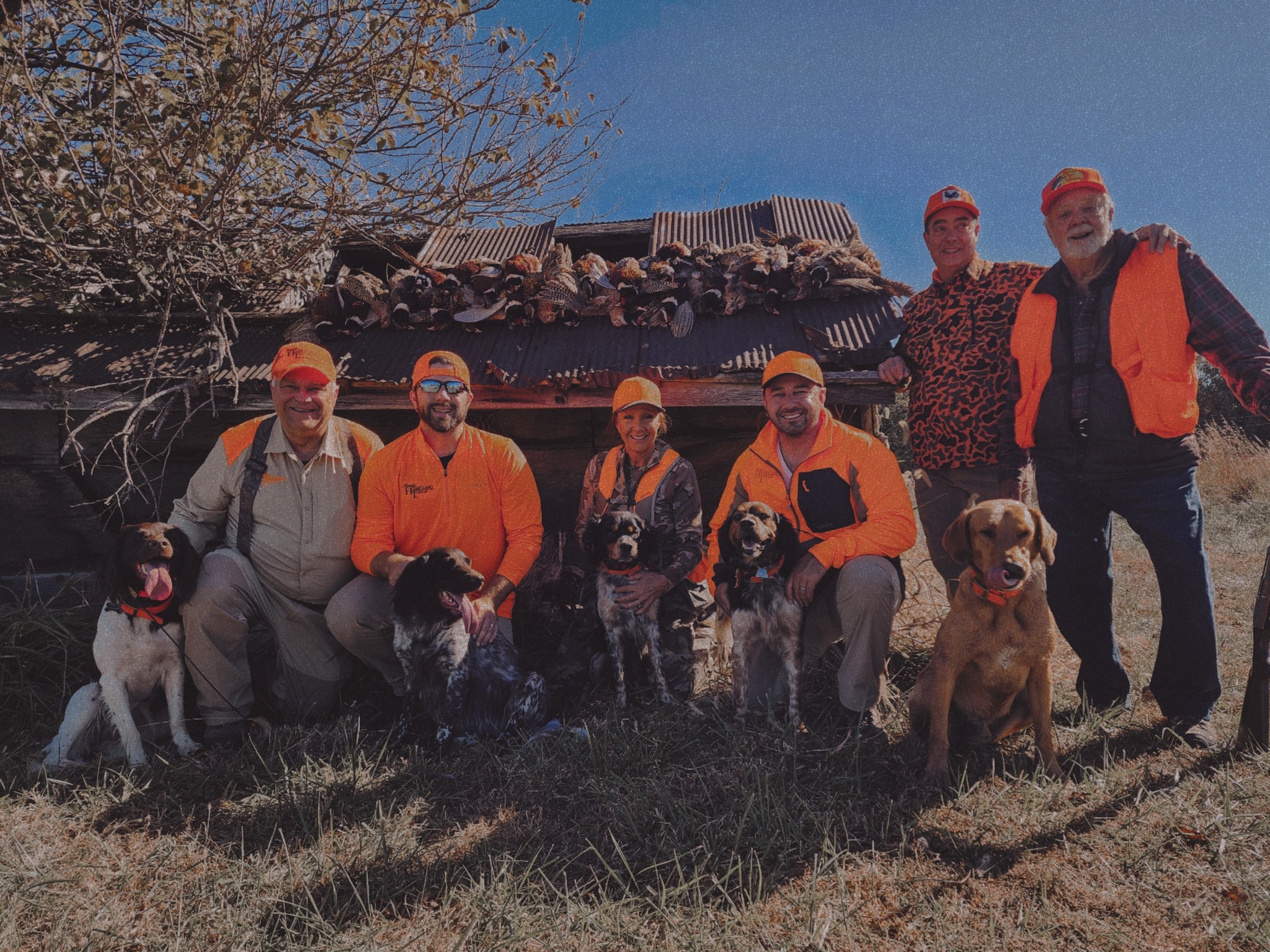 Big group pheasant and quail hunt