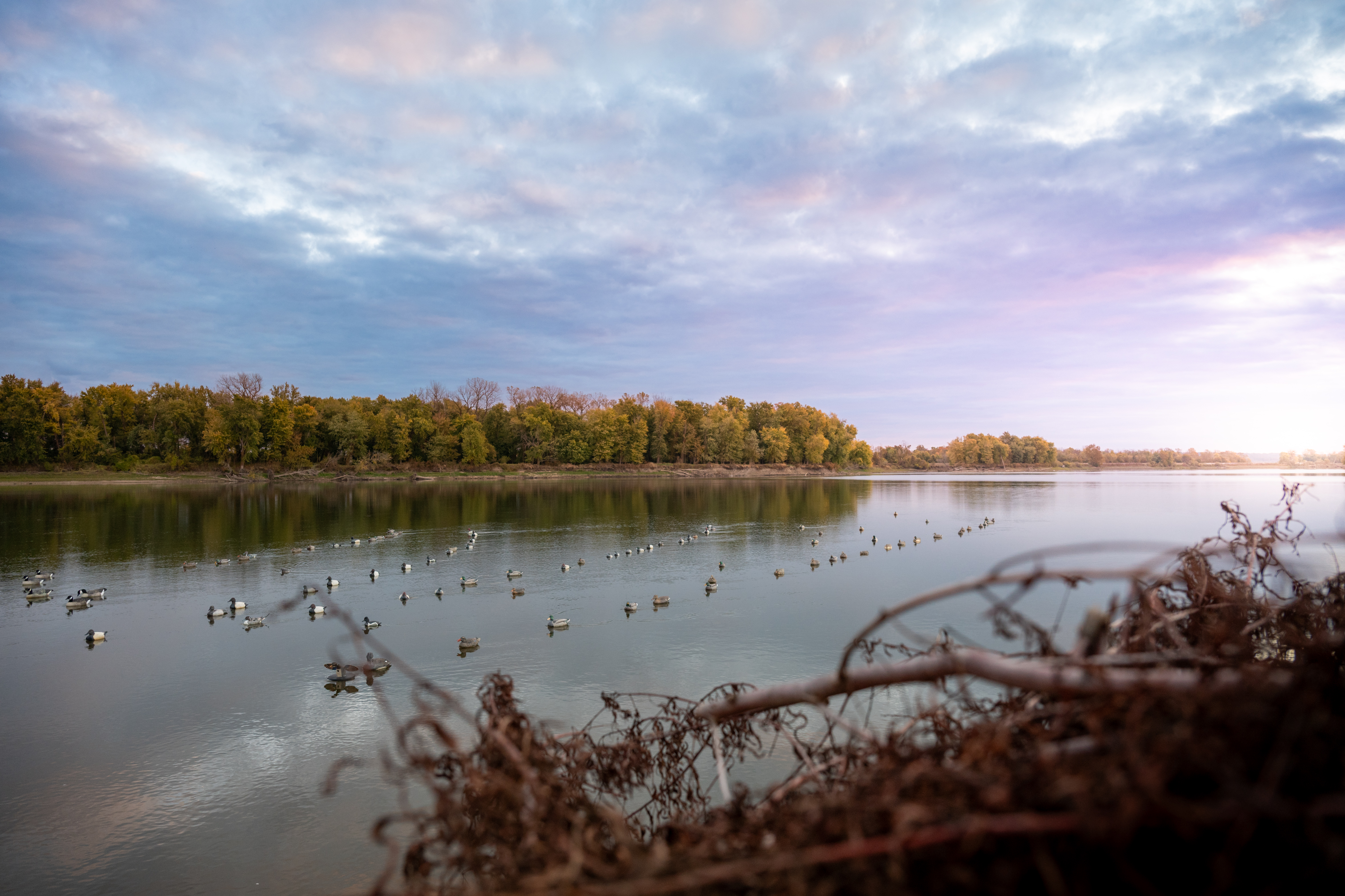 Guided river hunting duck decoy set up