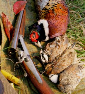 Quail & Pheasant Hunting in Illinois