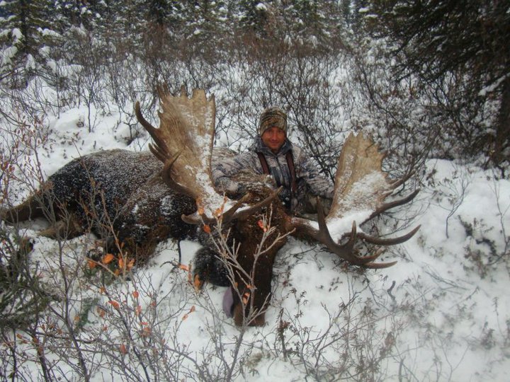 Alaska Moose Hunt Success
