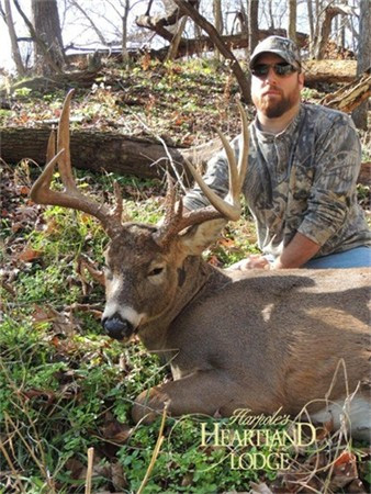 Illinois Nine Point Whitetail Buck